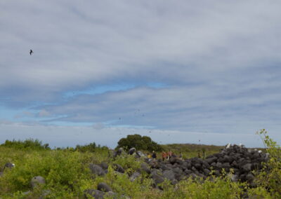 Isla Lobo