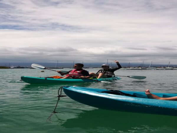 Kayak islote las Tintoreras