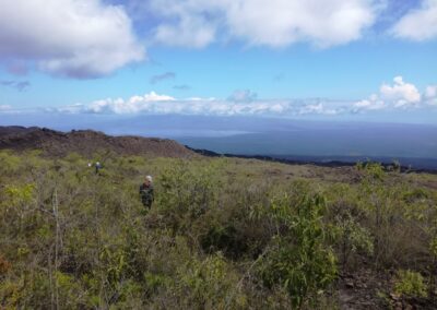 Isla Isabela