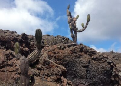 Volcán Chico