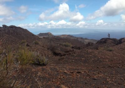 Isla Isabela