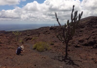 Volcán Chico